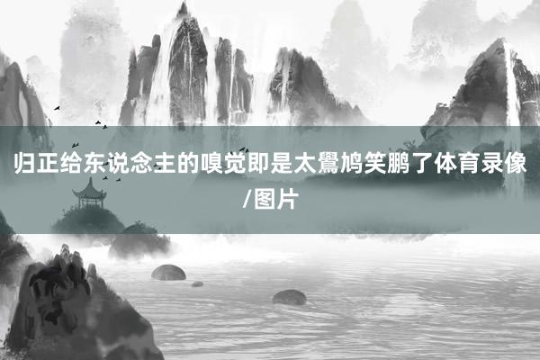 归正给东说念主的嗅觉即是太鷽鸠笑鹏了体育录像/图片
