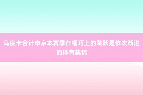 乌度卡合计申京本赛季在细巧上的跳跃是依次渐进的体育集锦