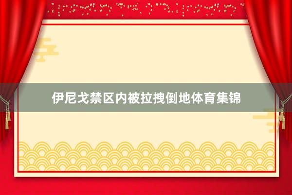 伊尼戈禁区内被拉拽倒地体育集锦