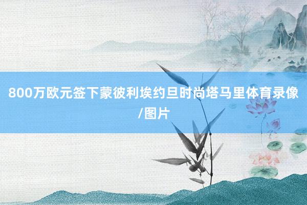 800万欧元签下蒙彼利埃约旦时尚塔马里体育录像/图片