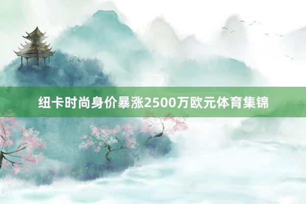纽卡时尚身价暴涨2500万欧元体育集锦