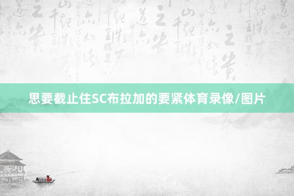 思要截止住SC布拉加的要紧体育录像/图片