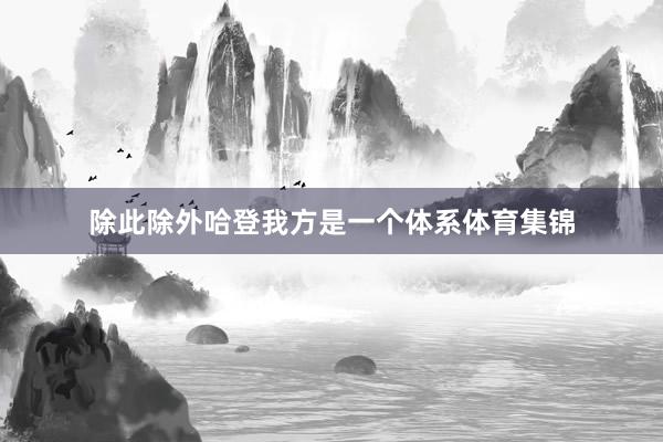 除此除外哈登我方是一个体系体育集锦