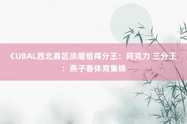 CUBAL西北赛区须眉组得分王：阿克力 三分王：燕子春体育集锦