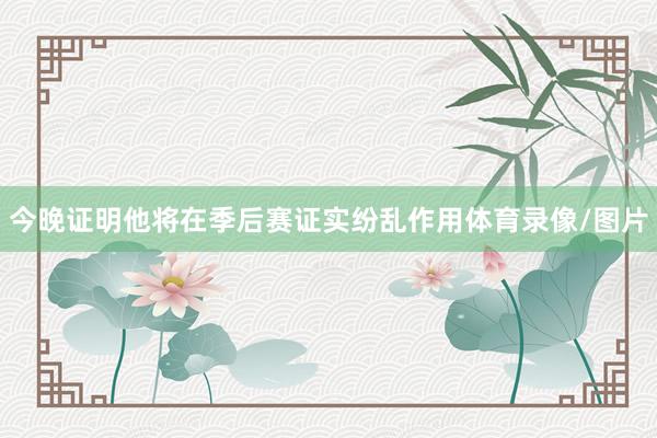 今晚证明他将在季后赛证实纷乱作用体育录像/图片