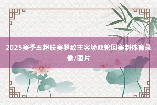 2025赛季五超联赛罗致主客场双轮回赛制体育录像/图片