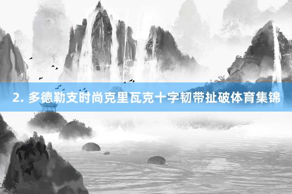 2. 多德勒支时尚克里瓦克十字韧带扯破体育集锦