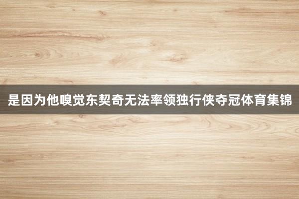 是因为他嗅觉东契奇无法率领独行侠夺冠体育集锦