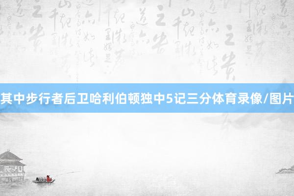 其中步行者后卫哈利伯顿独中5记三分体育录像/图片