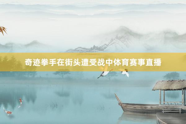 奇迹拳手在街头遭受战中体育赛事直播