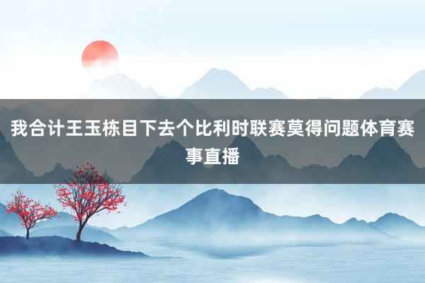 我合计王玉栋目下去个比利时联赛莫得问题体育赛事直播