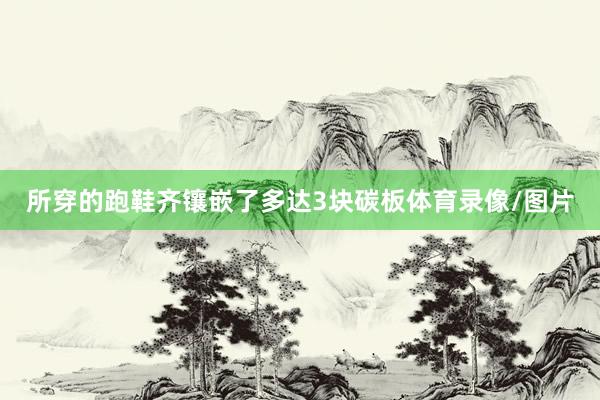 所穿的跑鞋齐镶嵌了多达3块碳板体育录像/图片