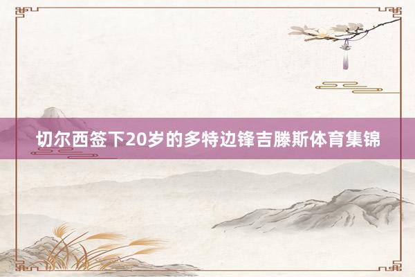 切尔西签下20岁的多特边锋吉滕斯体育集锦