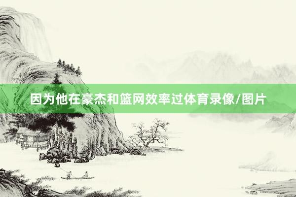 因为他在豪杰和篮网效率过体育录像/图片