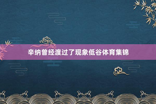 辛纳曾经渡过了现象低谷体育集锦