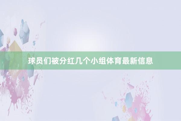球员们被分红几个小组体育最新信息