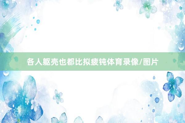 各人躯壳也都比拟疲钝体育录像/图片