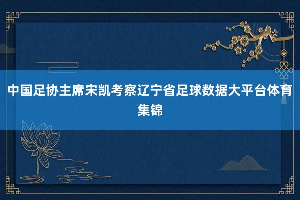 中国足协主席宋凯考察辽宁省足球数据大平台体育集锦