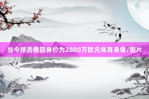 当今球员德回身价为2800万欧元体育录像/图片