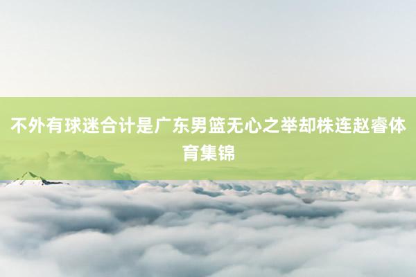 不外有球迷合计是广东男篮无心之举却株连赵睿体育集锦