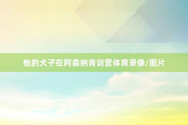 他的犬子在阿森纳青训营体育录像/图片