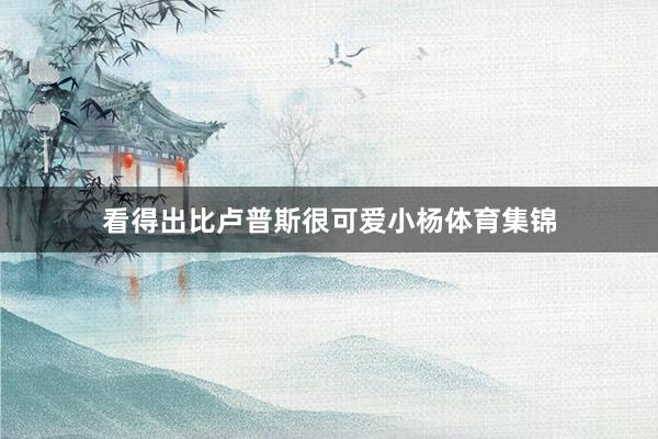 看得出比卢普斯很可爱小杨体育集锦