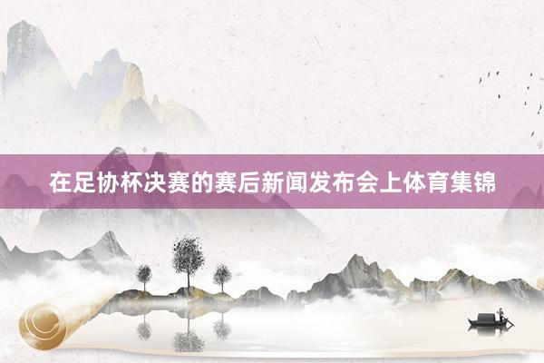在足协杯决赛的赛后新闻发布会上体育集锦