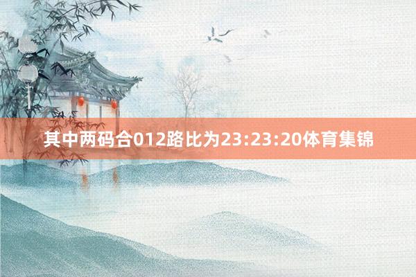 其中两码合012路比为23:23:20体育集锦