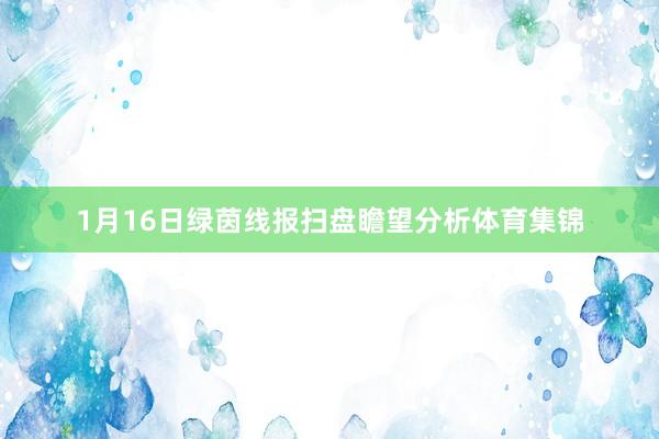 1月16日绿茵线报扫盘瞻望分析体育集锦