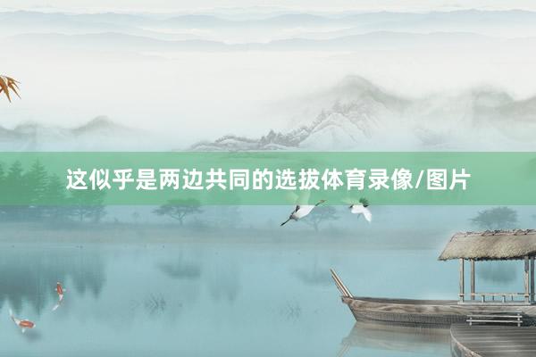 这似乎是两边共同的选拔体育录像/图片