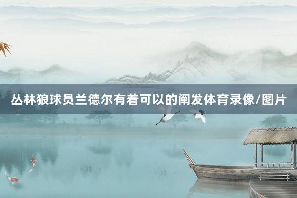 丛林狼球员兰德尔有着可以的阐发体育录像/图片