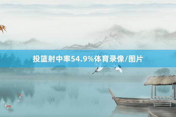 投篮射中率54.9%体育录像/图片