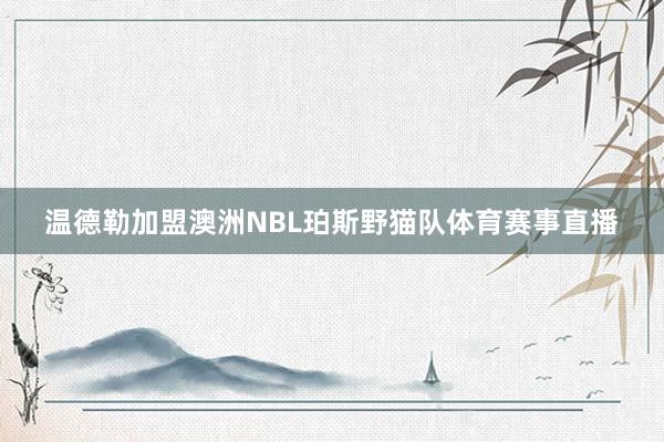 温德勒加盟澳洲NBL珀斯野猫队体育赛事直播
