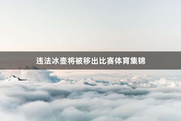 违法冰壶将被移出比赛体育集锦