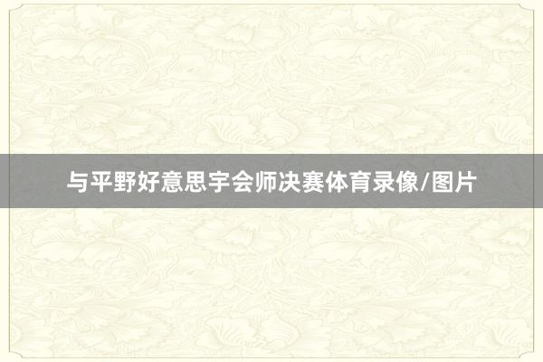 与平野好意思宇会师决赛体育录像/图片