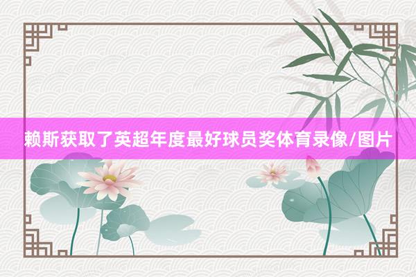 赖斯获取了英超年度最好球员奖体育录像/图片