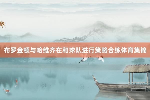 布罗金顿与哈维齐在和球队进行策略合练体育集锦