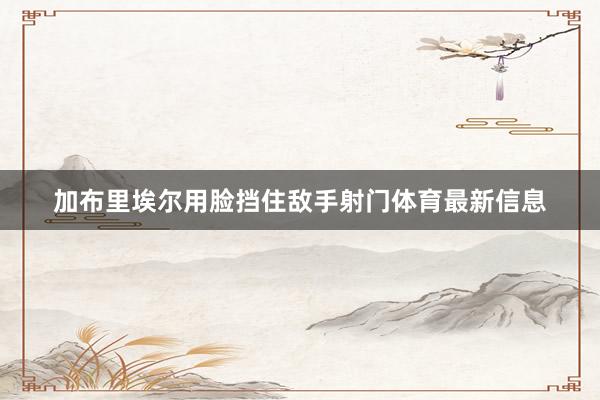 加布里埃尔用脸挡住敌手射门体育最新信息