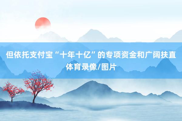 但依托支付宝“十年十亿”的专项资金和广阔扶直体育录像/图片
