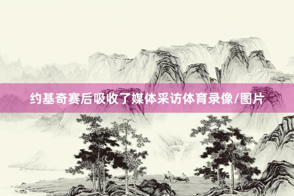 约基奇赛后吸收了媒体采访体育录像/图片