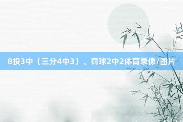 8投3中（三分4中3）、罚球2中2体育录像/图片