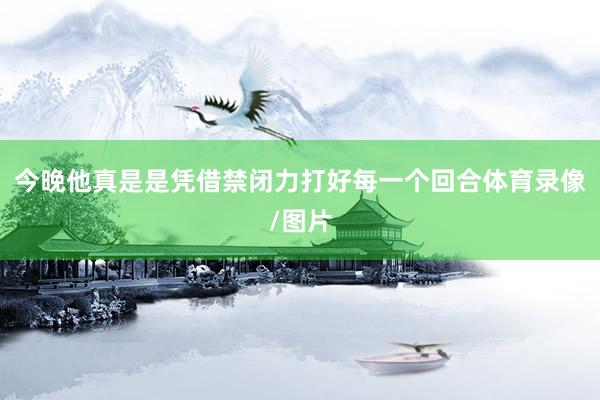 今晚他真是是凭借禁闭力打好每一个回合体育录像/图片
