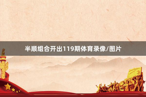 半顺组合开出119期体育录像/图片