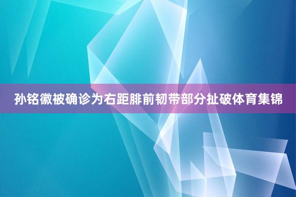 孙铭徽被确诊为右距腓前韧带部分扯破体育集锦