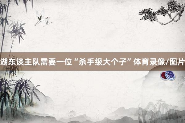 湖东谈主队需要一位“杀手级大个子”体育录像/图片