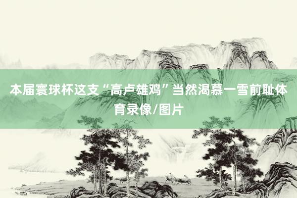 本届寰球杯这支“高卢雄鸡”当然渴慕一雪前耻体育录像/图片